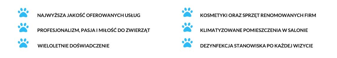 Nasze standardy